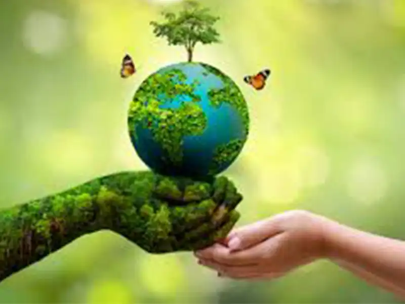 World Environment Day
